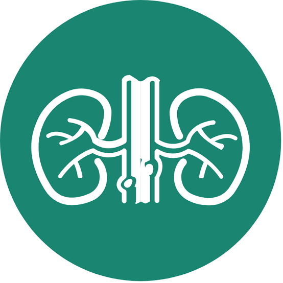 Nephrology & Urology